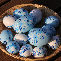 /album/fotogalerie-avadesign/product-img500w-34-jpg/